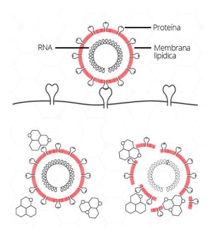 Odoo • Image and Text